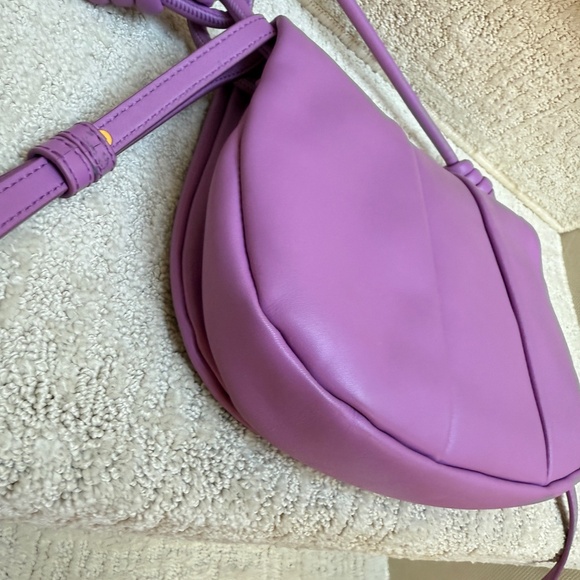 LOEWE Shiny Nappa Calfskin Paseo Satchel Rockrose - Picture 8 of 13